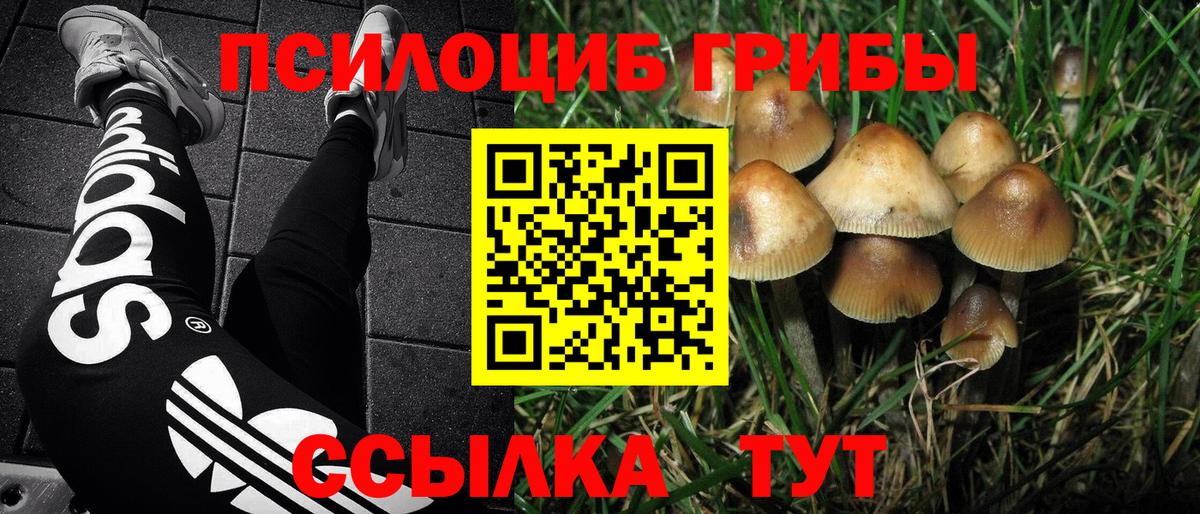 Галлюциногенные грибы ЛСД Сочи