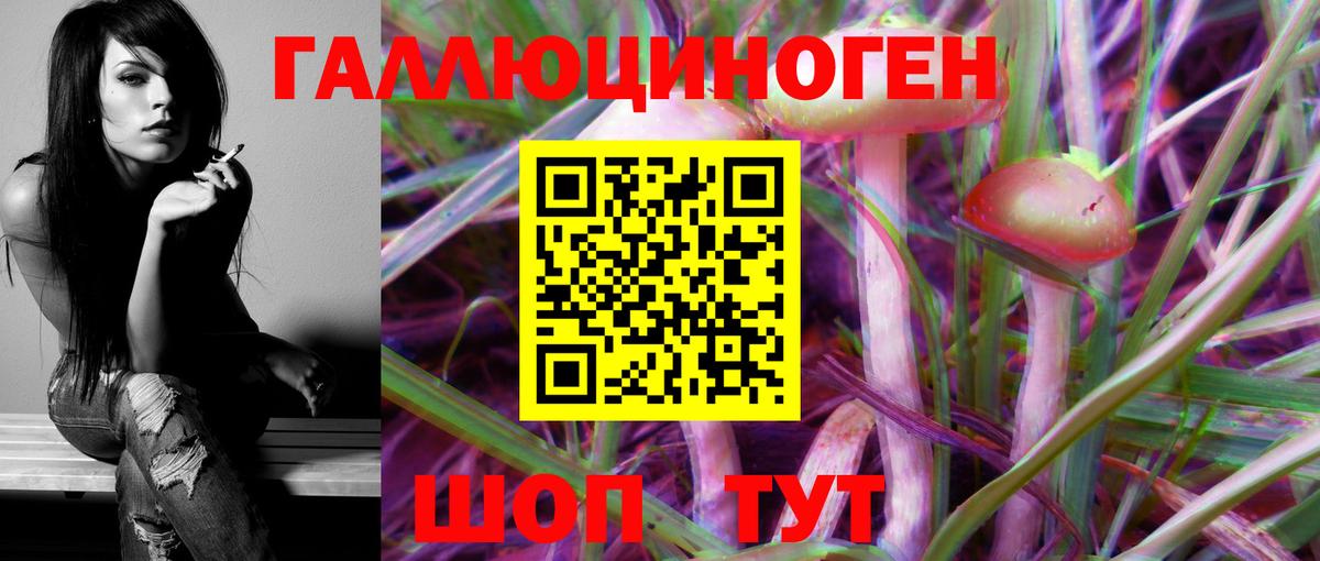 Псилоцибиновые грибы прущие грибы  Псилоцибиновые грибы GOLDEN TEACHER  Вход с VPN  Сочи 