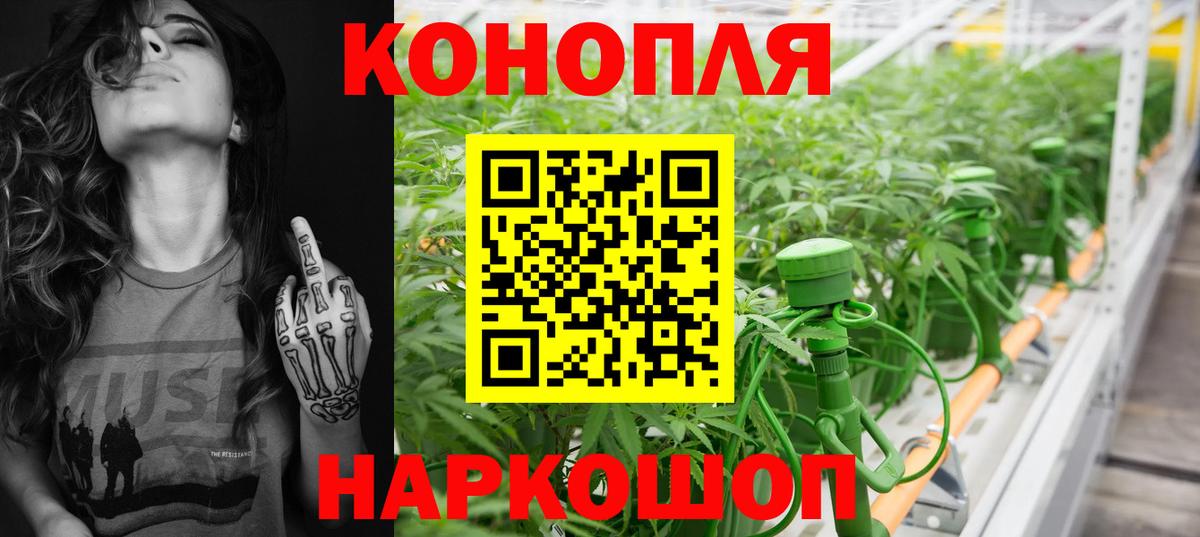 Бошки Шишки семена  Вход с VPN  Сочи  Бошки Шишки сатива 